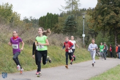 TSVNeufra_Dorflauf2018-1210-1