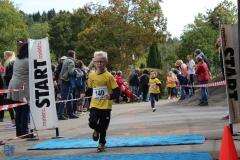 TSVNeufra_Dorflauf2018-132
