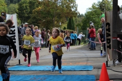 TSVNeufra_Dorflauf2018-67